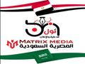 مسوق الكترونى