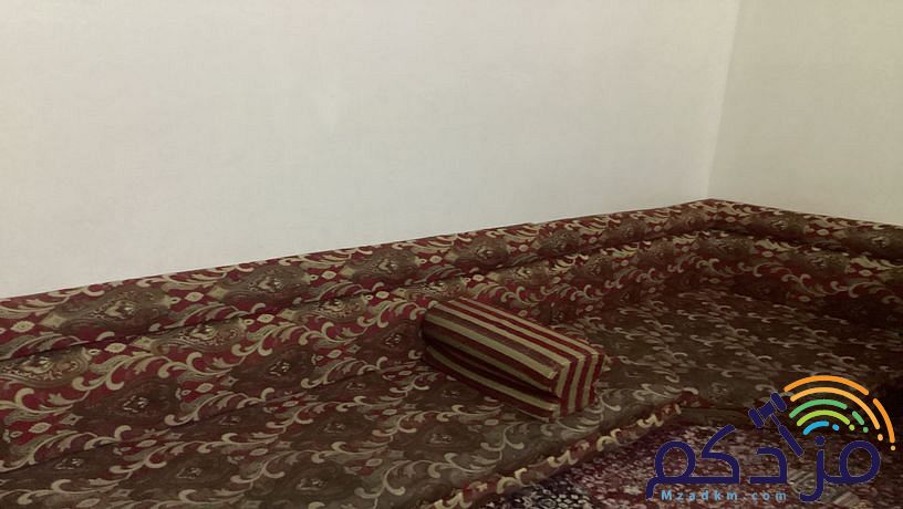 فرش ارضي مع ستاره زوليه اثنين مع تكايات مع مخداتها
