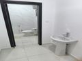 شقه للايجار