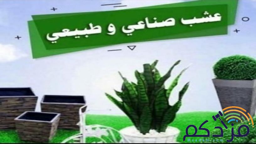 تنسيق حدائق