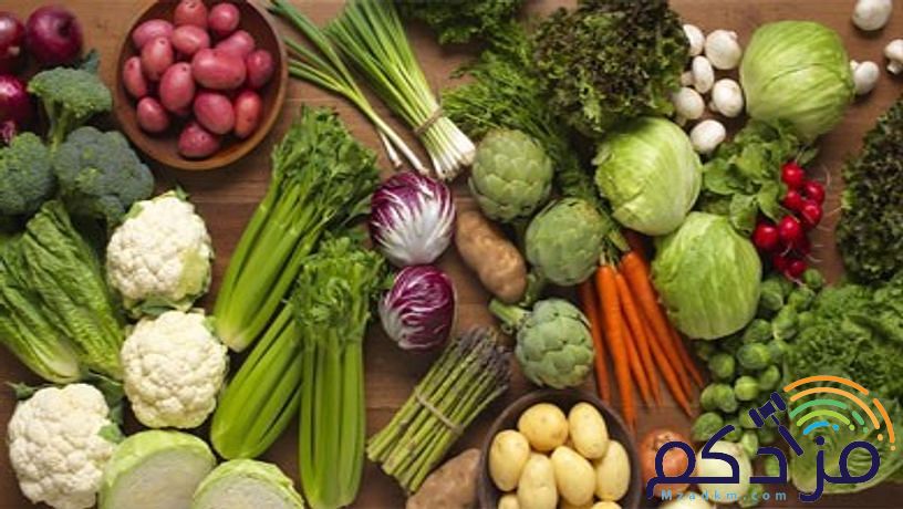 شركة نهر الامداد لتوريد الفواكة والخضروات بجدة