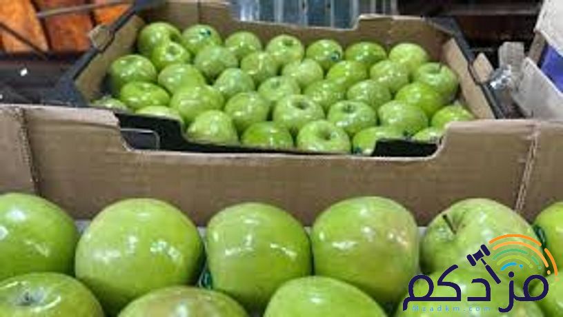 شركة نهر الامداد لتوريد الفواكة والخضروات بجدة