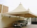 حداد مضلات وسواتر وجلسات الرياض
