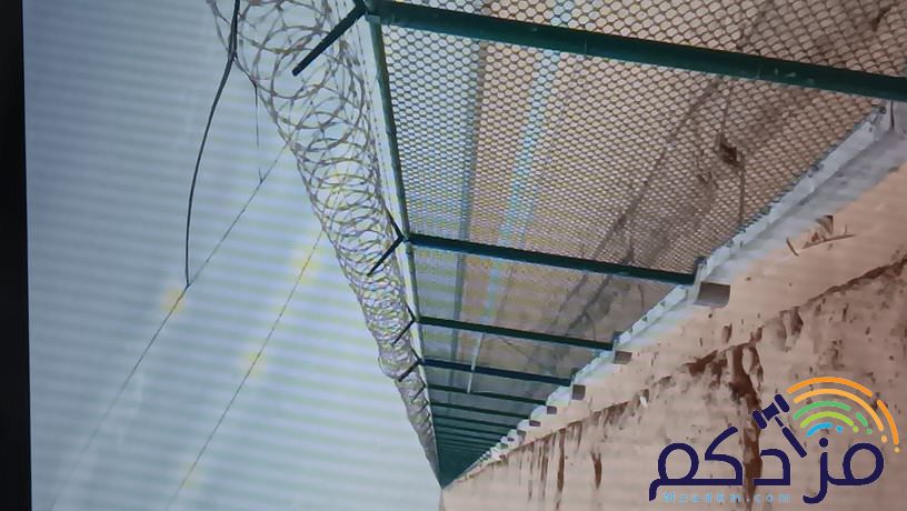مقاول شبوك سياج اسوار تركيب شبوك