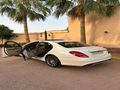 S-CGLSs Amg500