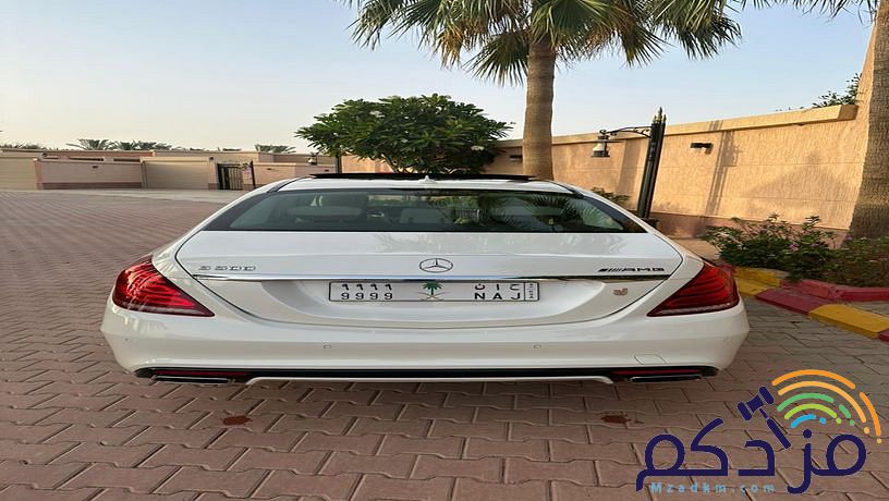 S-CGLSs Amg500