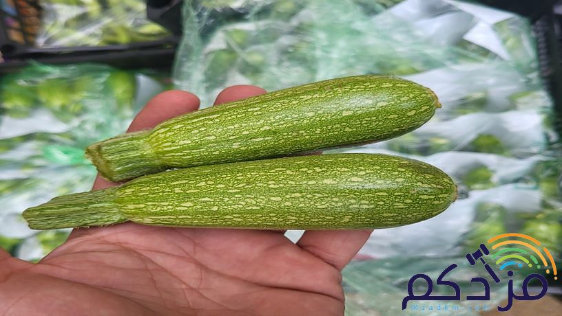 شركة توريد الفواكة والخضروات الطازجة بجدة