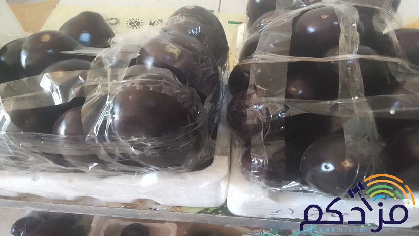 شركة توريد الفواكة والخضروات الطازجة بجدة