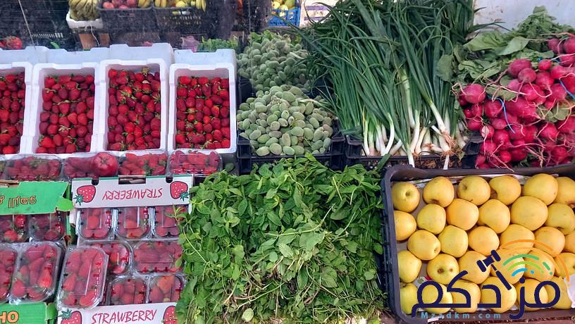 شركة توريد الفواكة والخضروات الطازجة بجدة