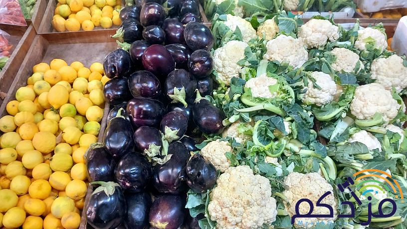 شركة توريد الفواكة والخضروات الطازجة بجدة