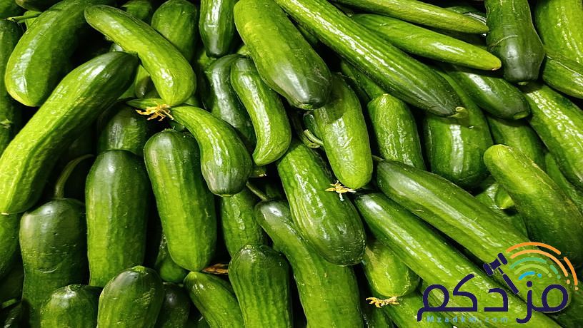 شركة توريد الفواكة والخضروات الطازجة بجدة