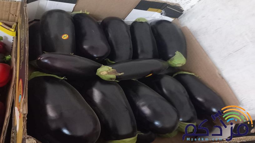 شركة توريد الفواكة والخضروات الطازجة بجدة