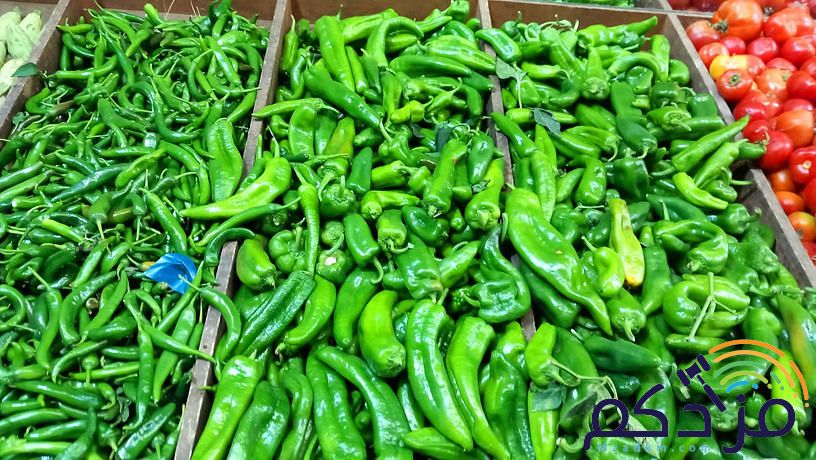 شركة توريد الفواكة والخضروات الطازجة بجدة