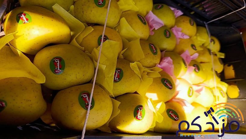 شركة توريد الفواكة والخضروات الطازجة بجدة