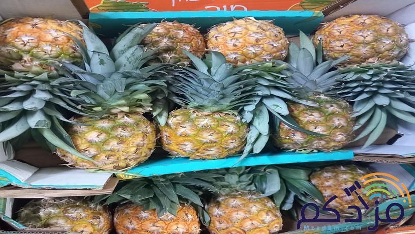 شركة توريد الفواكة والخضروات الطازجة بجدة