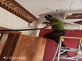 تأسيس وتمديد نحاس امريكي مولار لجميع انواع التكييف