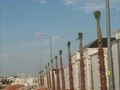 لتركيب الشبوك وتوريد وزراعة النخيل