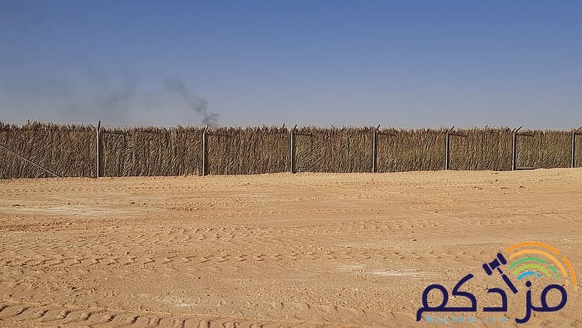 امقاول نخيل صيانه وتوريد ابوعامر