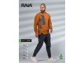 mlabs-rjaly-small-3
