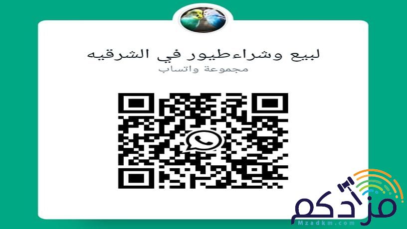 للبيع طيور بادجي