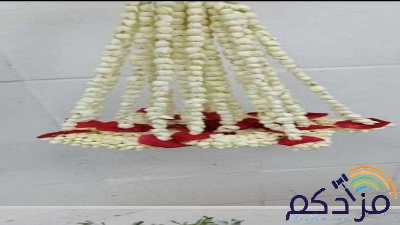سالم لبيع للفل البلدي والورد اطبيعيه