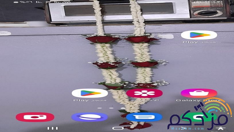 سالم لبيع للفل البلدي والورد اطبيعيه