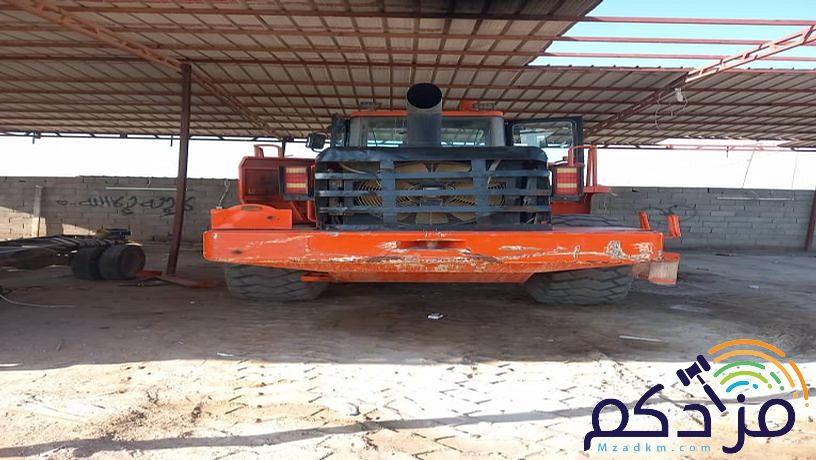 شيول دوسان 2007