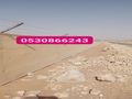 مقاول شبوك ونخيل وثراث 0530866243