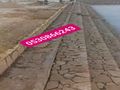 مقاول شبوك ونخيل وثراث