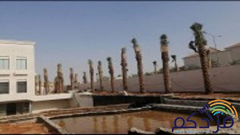 مقاول شبوك ونخيل وثراث