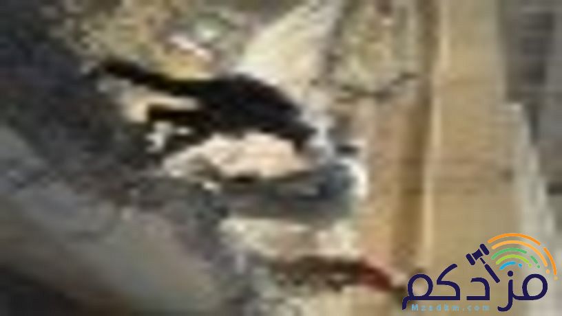 كمبروسر حفر تكسير تخشين خرسانه